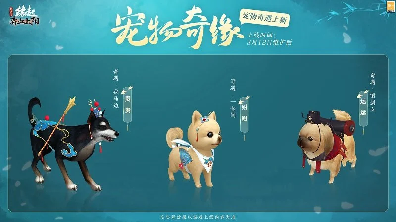 国足新帅扬,科维奇,败仗中显精,百家乐视讯,百家乐直播,真人百家乐,在线百家乐,直播平台,百家乐平台