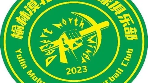 2025年1月11日友谊赛：特里内茨VS维卡瓦斯交锋史及对战数据预测